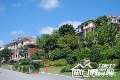 西山林语实景