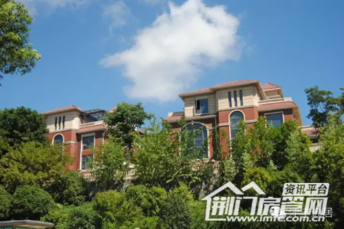 西山林语实景