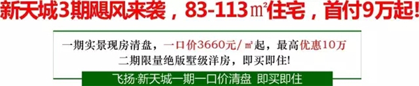 6.webp.jpg