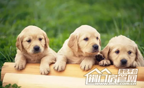 荆门万达活动