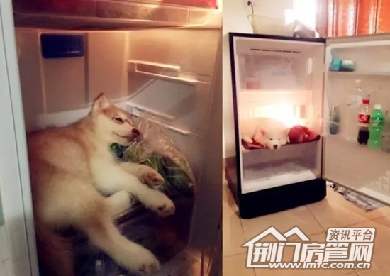 荆门迦南美地