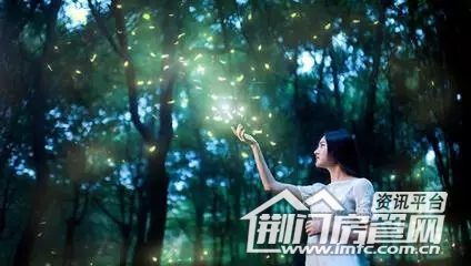萤火虫音乐节