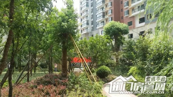 葡萄园城市花园实景