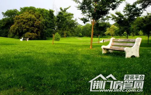 葡萄园实景