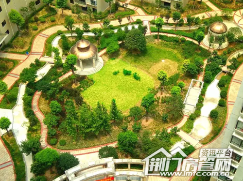 葡萄园实景图