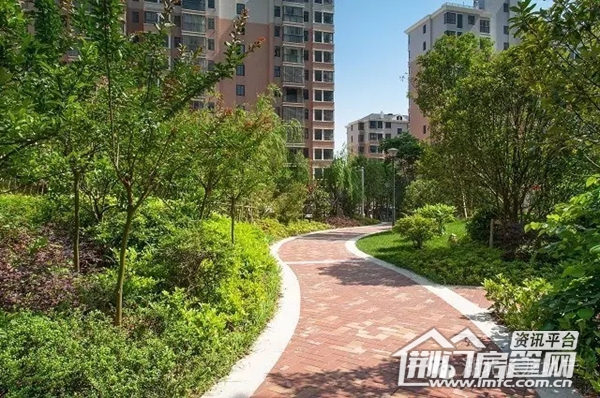 长龙·中央公园参选“十佳园林小区”实景图