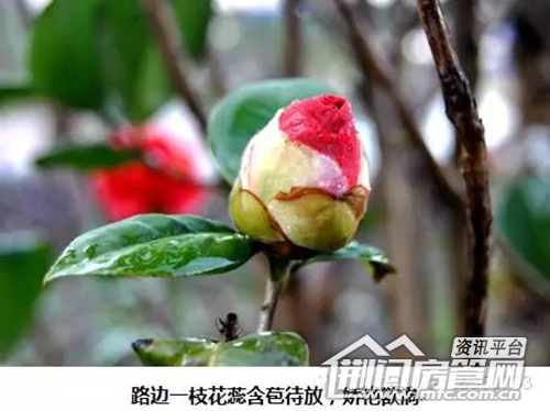 碧波春城