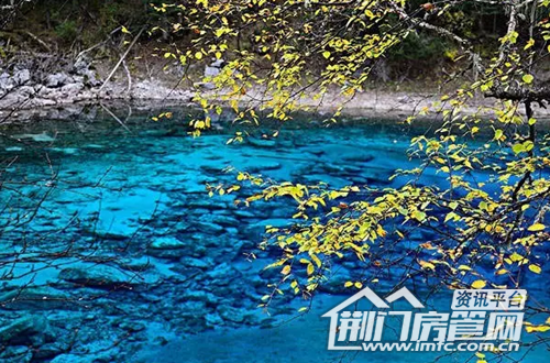 十一旅游