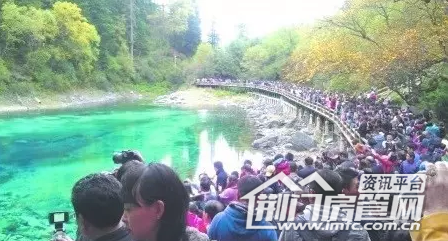 十一旅游