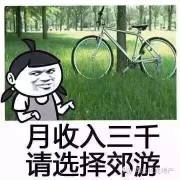 6.webp.jpg