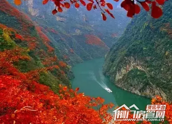 十一旅游