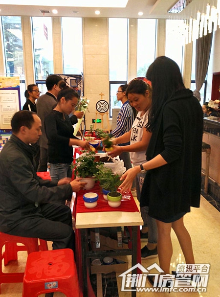 营销中心绿植DIY