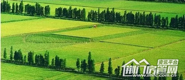 荆门团林