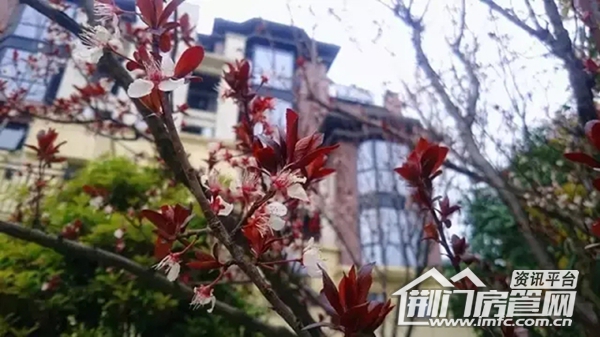 中建荆南熙园