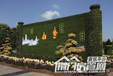 荆门菊花展