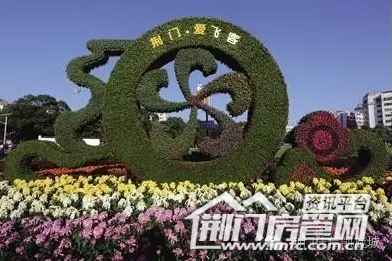 荆门菊花展