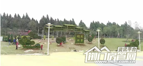 荆门菊花展