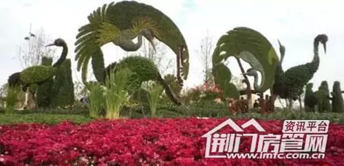 荆门菊花展