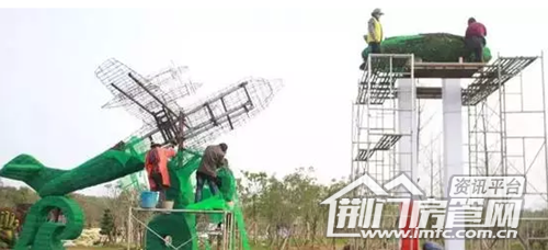 荆门菊花展