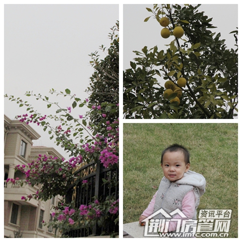 凯旋城实景