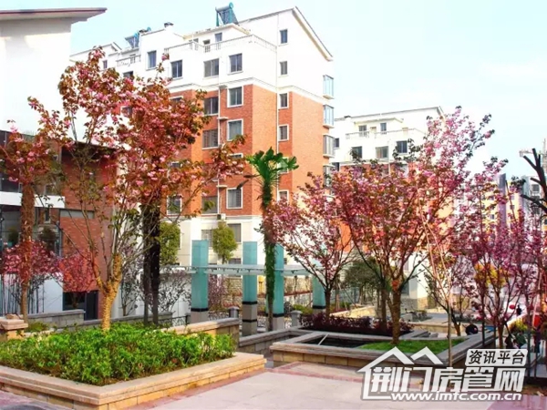 荆门葡萄园
