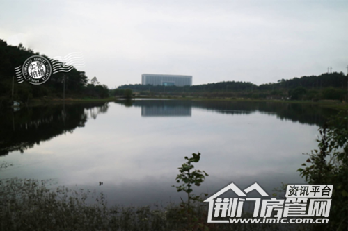 天鹅池公馆开盘