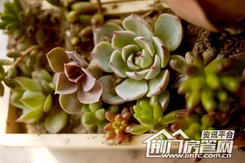 荆门万达活动