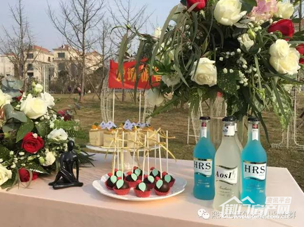 熙龙湾活动