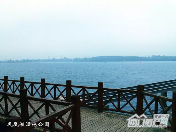 荆门凤凰湖湿地公园
