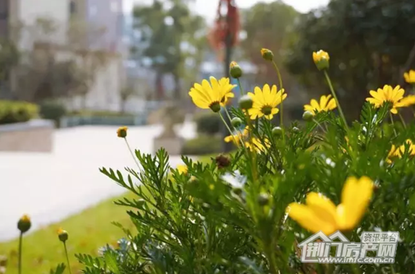 荆南熙园实景