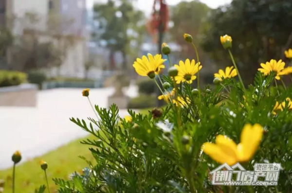 中建荆南熙园