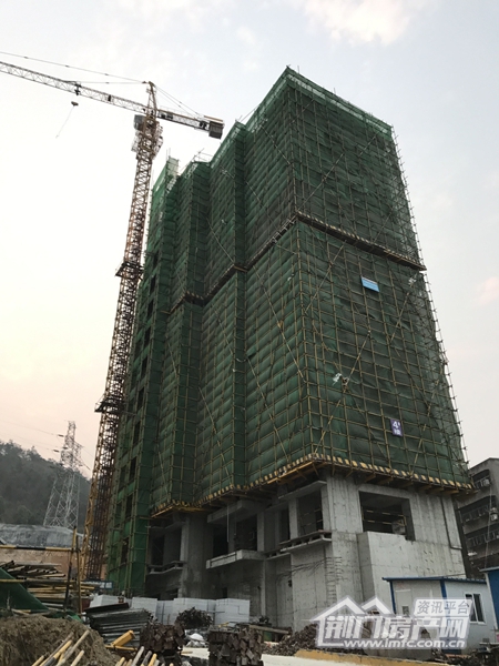 龙山国际3月工程进度