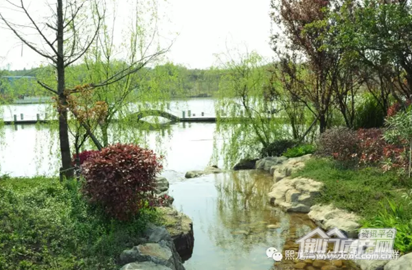 湖边果岭
