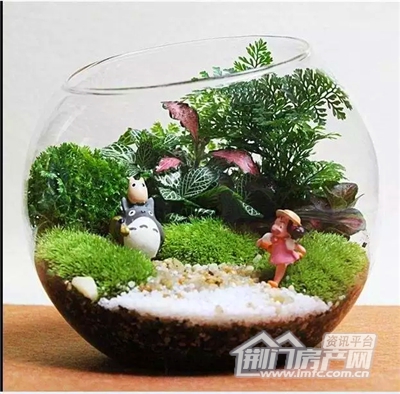 微景观