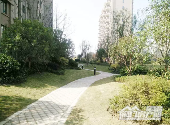 荆门碧桂园实景