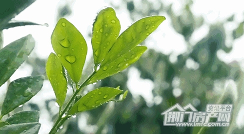 荆门美景