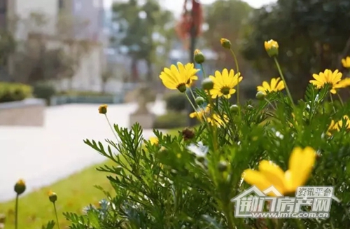 荆门美景