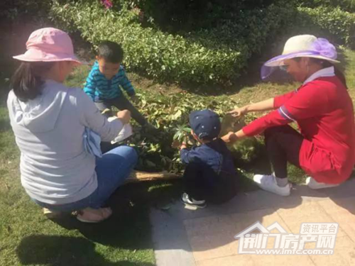 保护地球活动