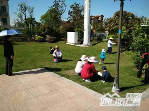 保护地球活动