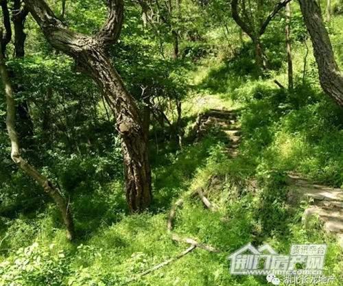 圣境山