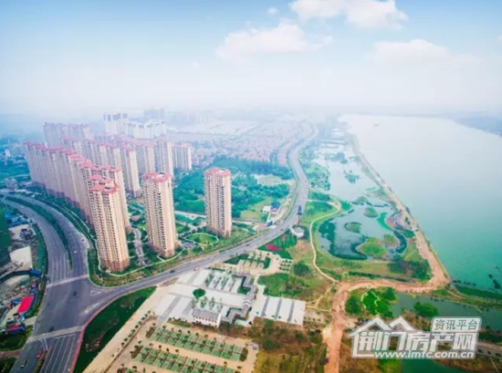 碧桂园