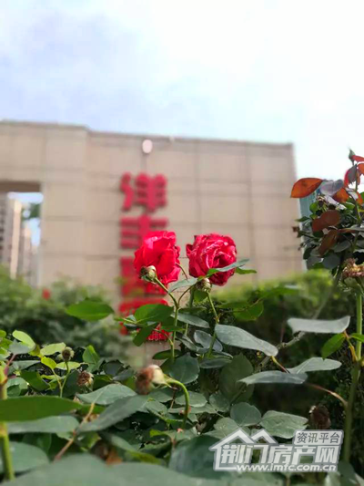 图片4_副本.png