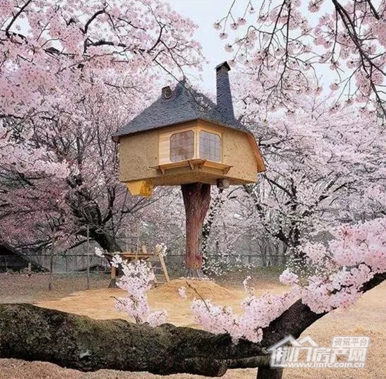 日本·哲也的茶室