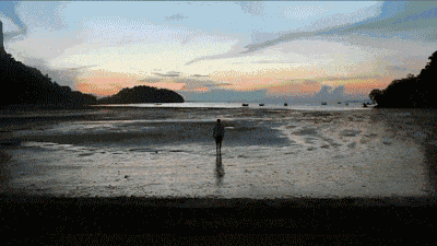 1111.gif