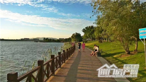 碧桂园