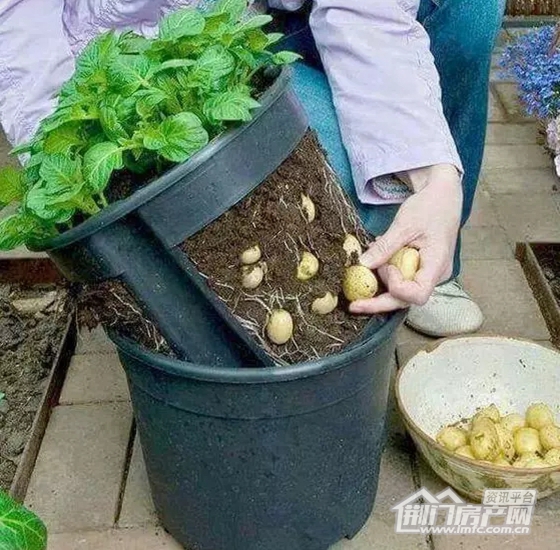 15.jpg