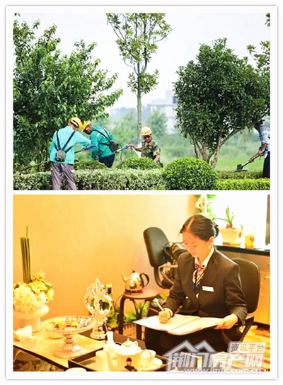 金碧物业.jpg
