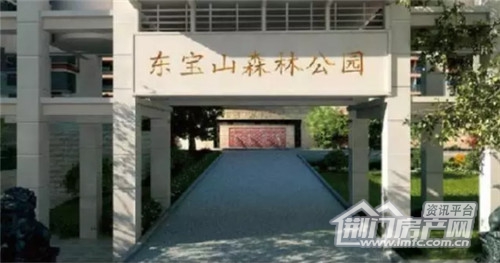 东宝山森林公园.jpg