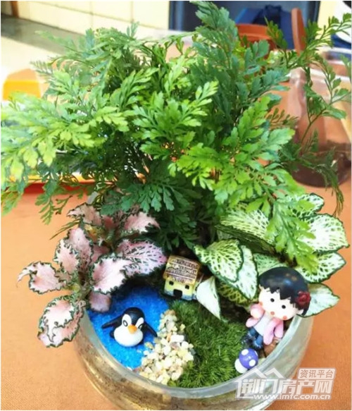 微景观diy.jpg
