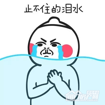 07.webp.jpg